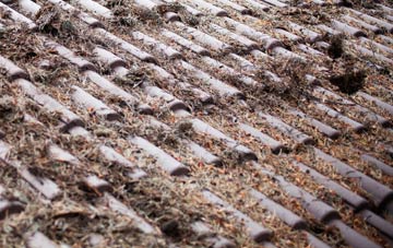 Ashurst Wood roof cleaning companies